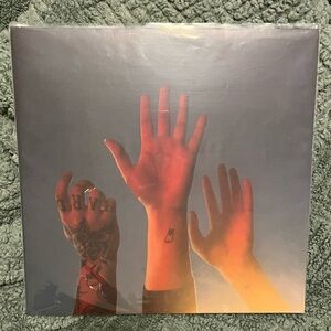 The Record -Boygenius Vinyl